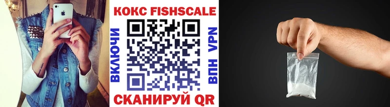 купить закладку  Кизилюрт  Кокаин FishScale 