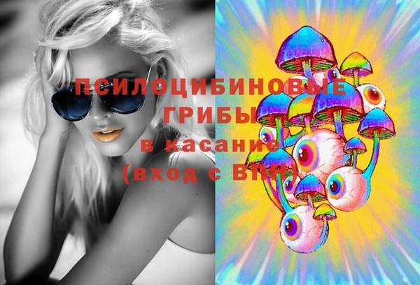 гашик Абаза