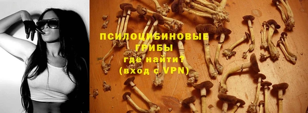 гашик Абаза