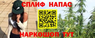 прущие крисы Тосно