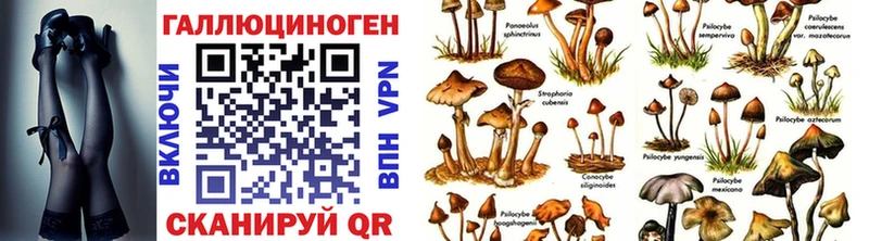 наркошоп  Кизилюрт  Псилоцибиновые грибы ЛСД 