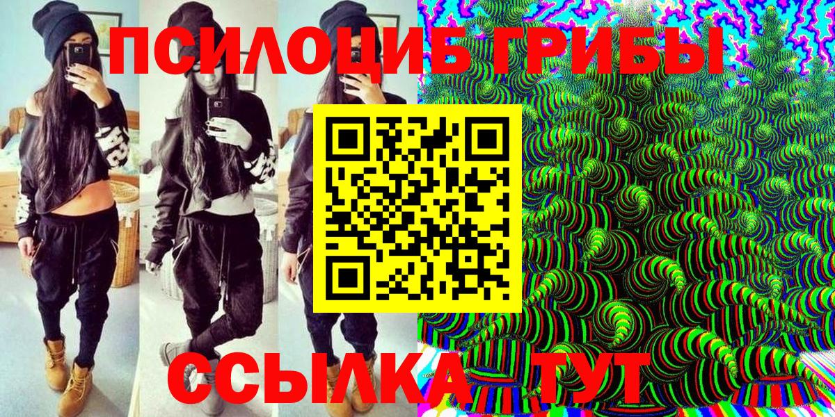 Кизилюрт  магазин  наркотиков  Вход с VPN  Псилоцибиновые грибы Magic Shrooms 